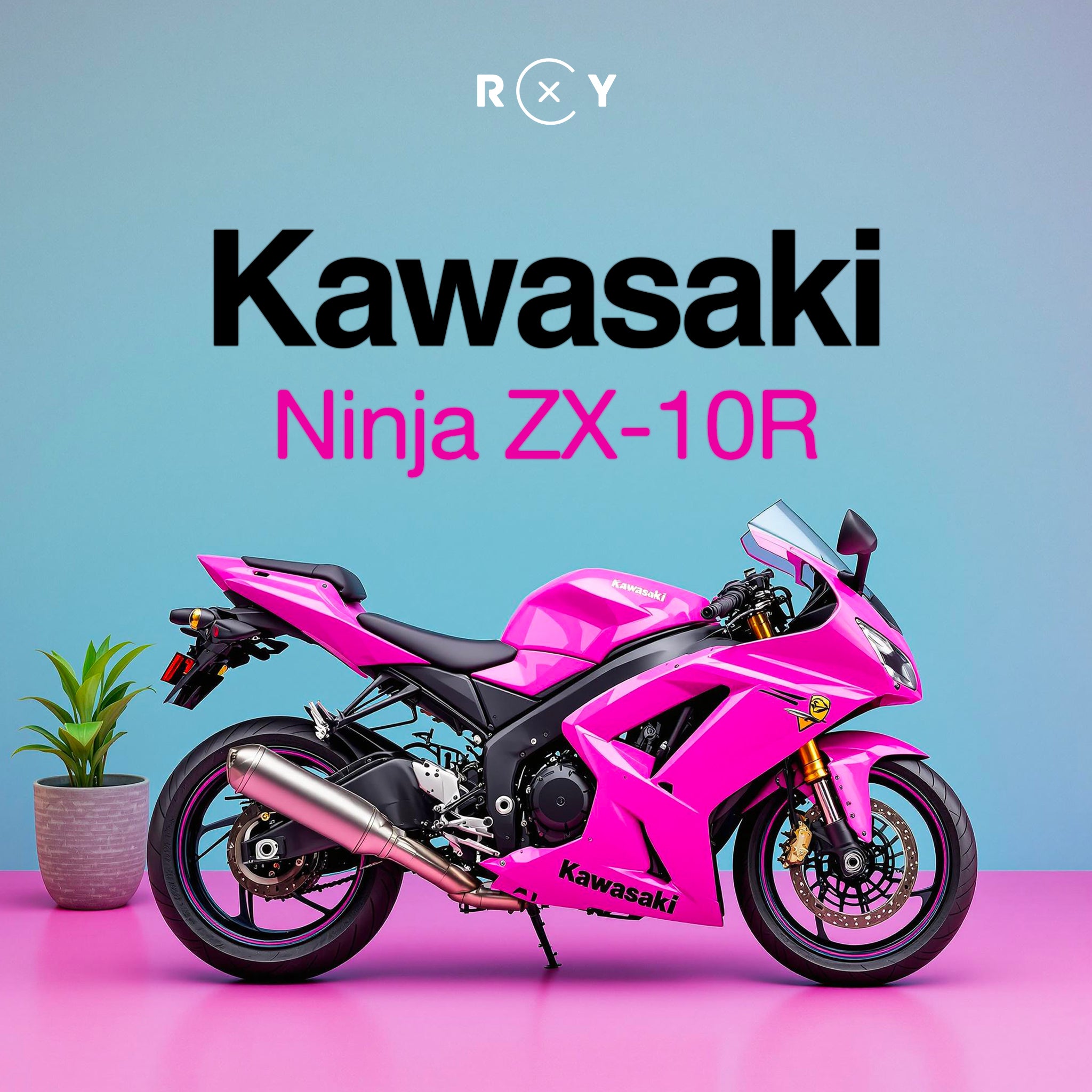 Kawasaki Ninja ZX-10R 2004